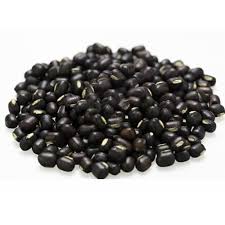 Urad Bean (Black Gram)
