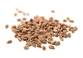 Celery Seed