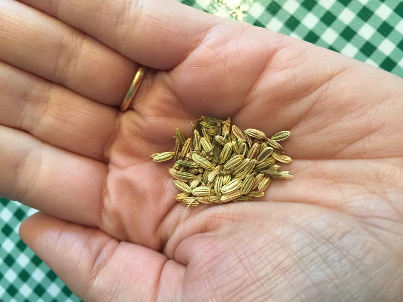 Fennel Seeds